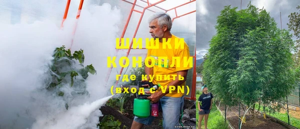 ПСИЛОЦИБИНОВЫЕ ГРИБЫ Магадан
