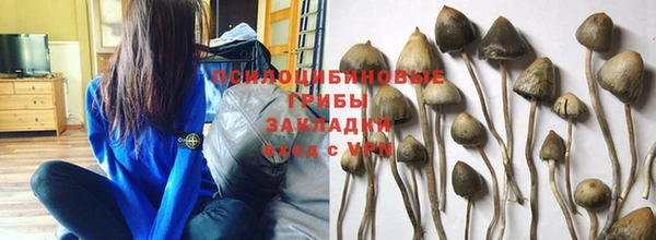 метадон Магас