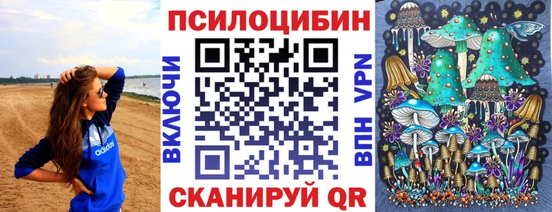 Псилоцибиновые грибы MAGIC MUSHROOMS  ссылка на мегу зеркало  Фокино  хочу наркоту 